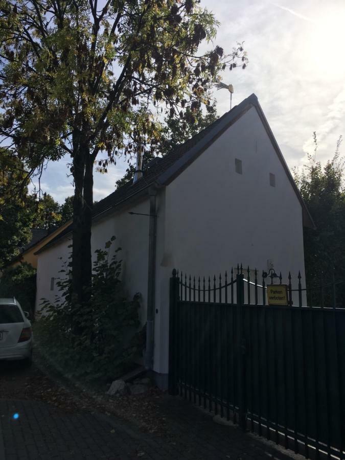 Fischer'S Haeuschen Straupitz Exterior photo
